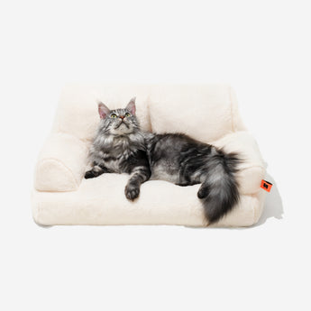 MewooFun Zion Cat Dog Sofa - Main Image
