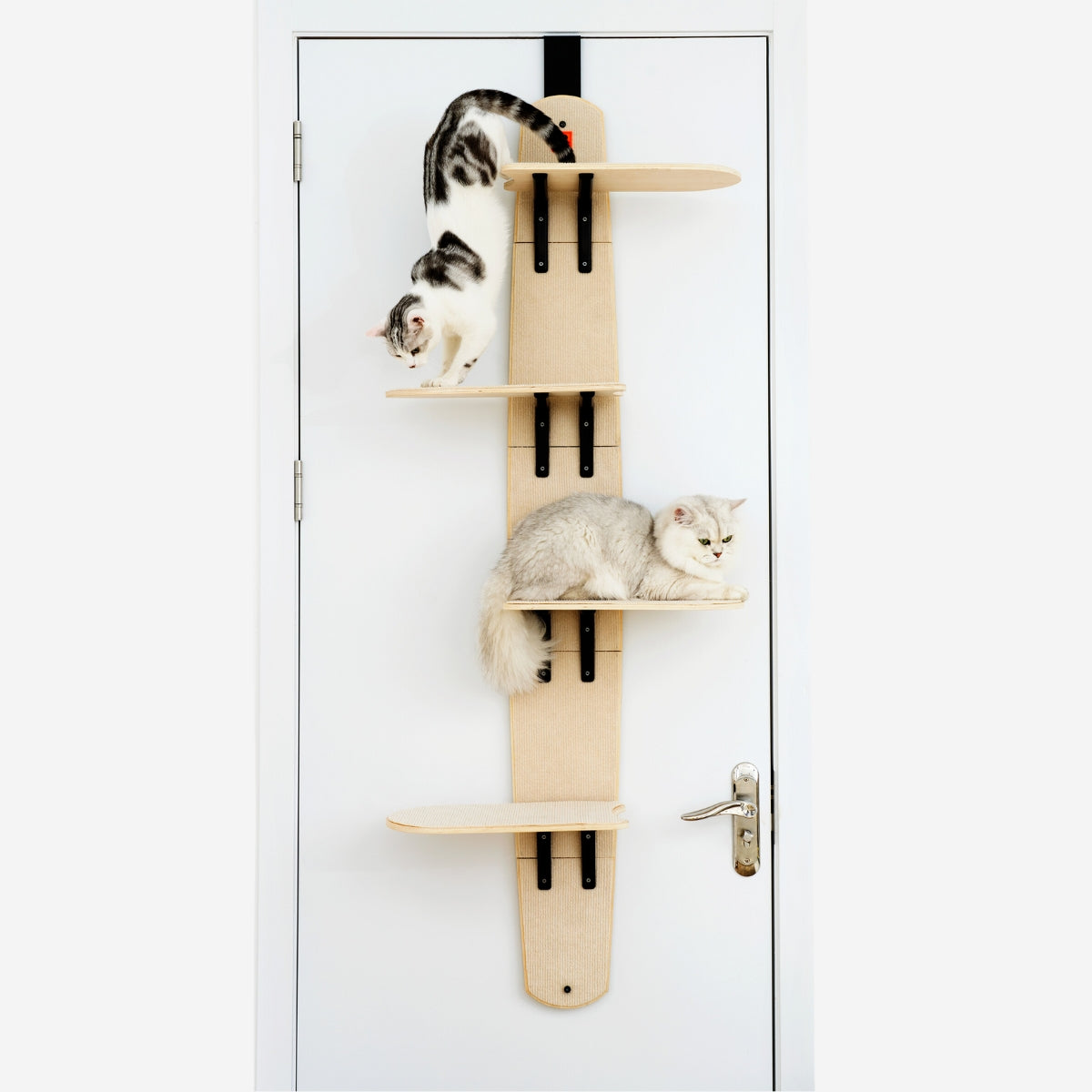 door hanging smart cat climber Sherman Door Cat Tree Basic MewooFun