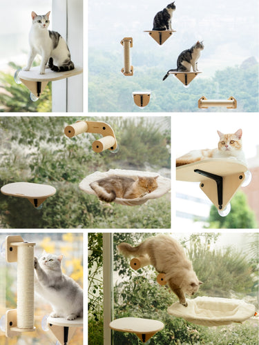 Steinway Cat Window Step Pro MewooFun1